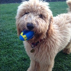 Meet your Posher, Katelyn